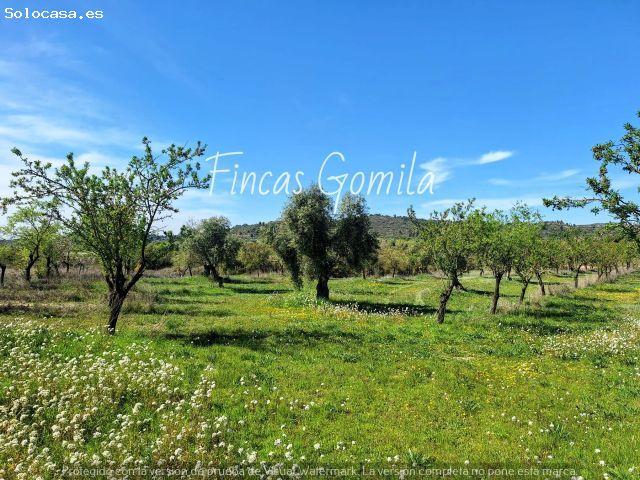 Local Comercial en venta en Garrigues, Catalunya