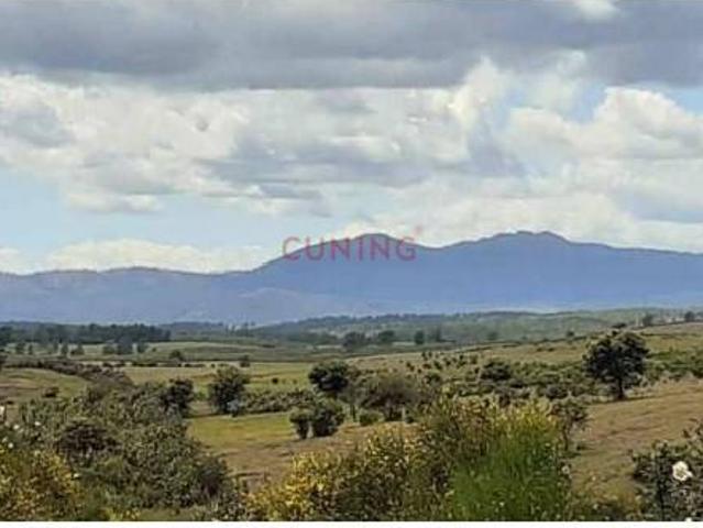 Terreno en venta en Cilleros