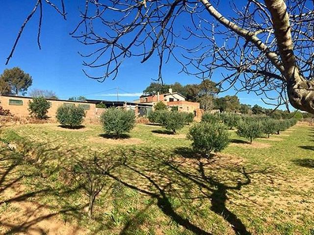 Terreno en venta en Alt Empordà, Catalunya