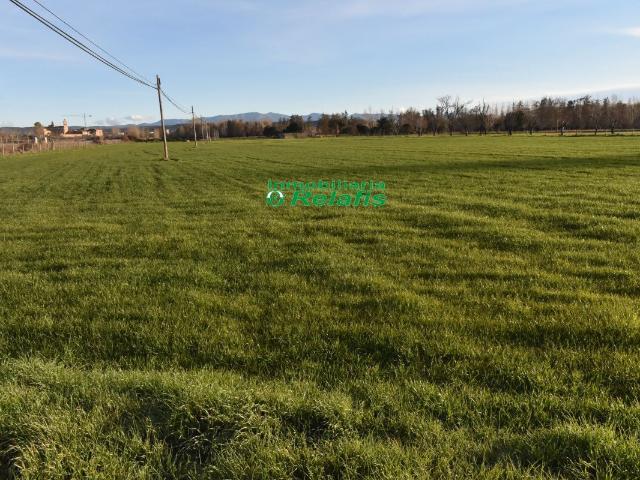 Terreno en venta en Ciudad Rodrigo