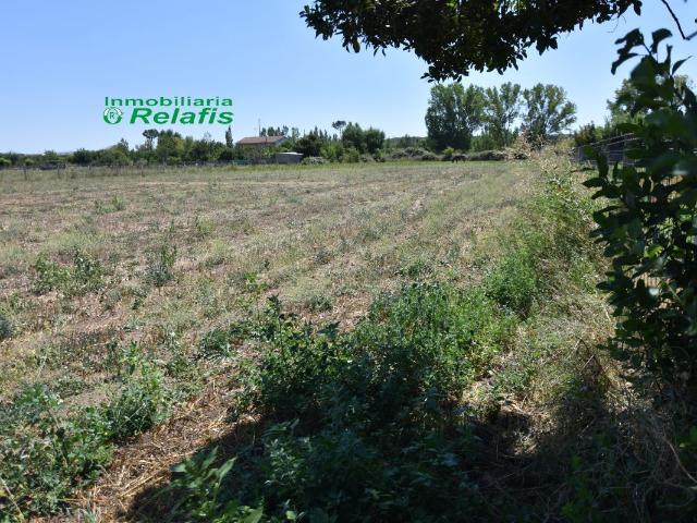 Terreno en venta en Ciudad Rodrigo
