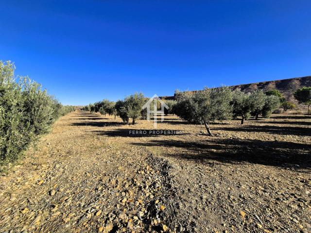 Terreno en venta en Comarca de Guadix, Andalucía