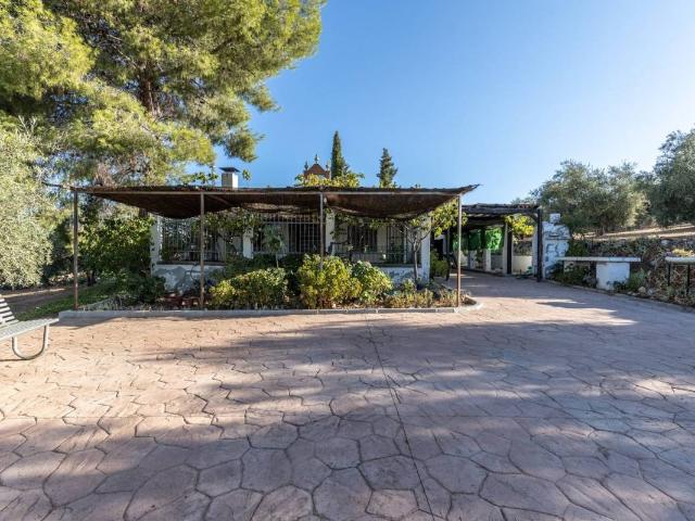 Terreno en venta en Cogollos De La Vega