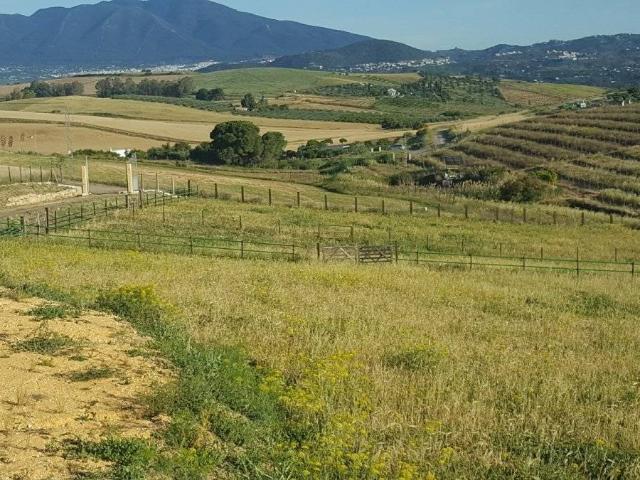 Terreno en venta en Coín, Urbanización Los Alijares