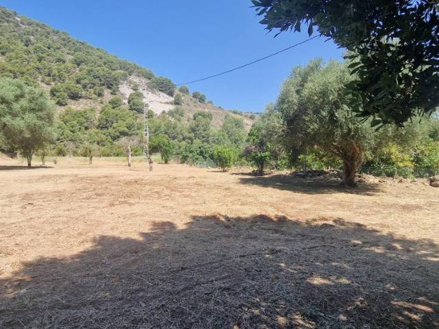 Terreno en venta en Miravalle Los Montecillos, Valle del Guadalhorce