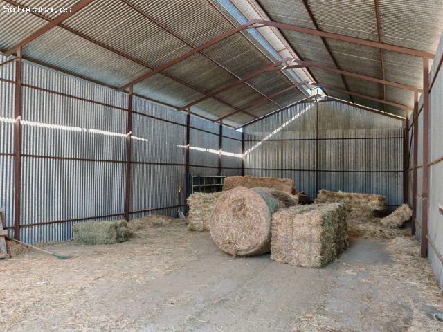 Local Comercial en venta en Miravalle Los Montecillos, Valle del Guadalhorce
