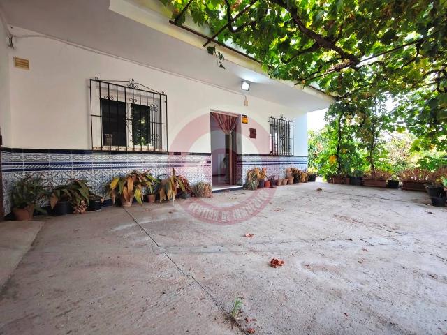 Terreno en venta en Las Encinillas, La Axarquía