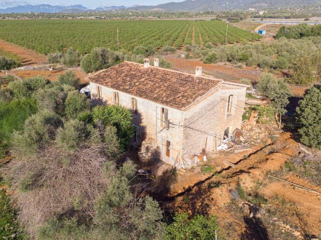 Terreno en venta en Consell