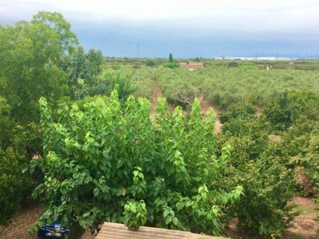 Local Comercial en venta en Constantí