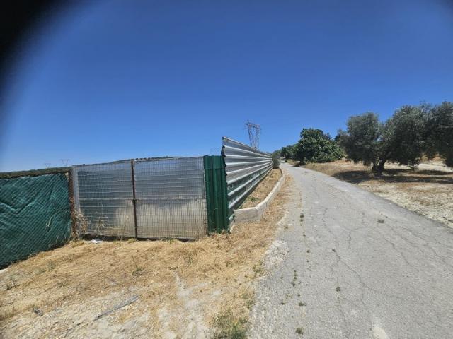 Terreno en venta en Campo de Aras, Lucena