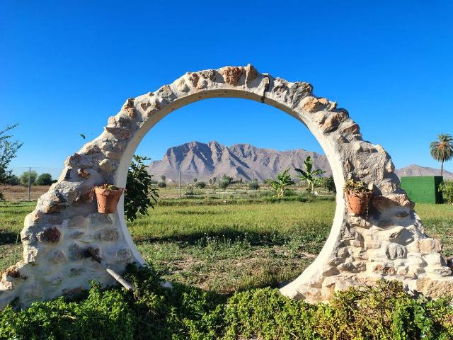Terreno en venta en el Baix Segura / La Vega Baja, Valencia