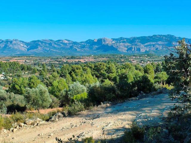 Terreno en venta en Cretas