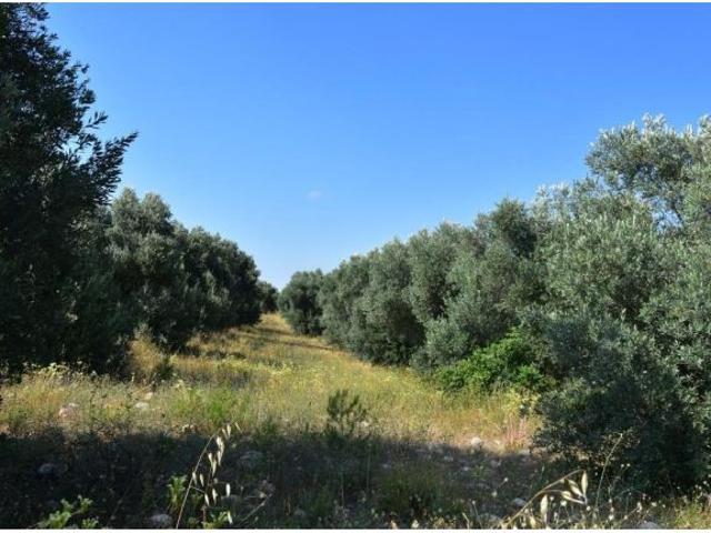 Local Comercial en venta en Matarraña / Matarranya, Cretas