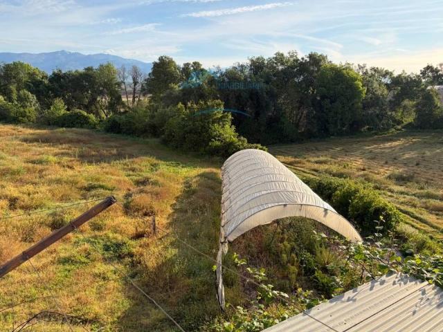 Terreno en venta en Cuacos de Yuste, Cáceres