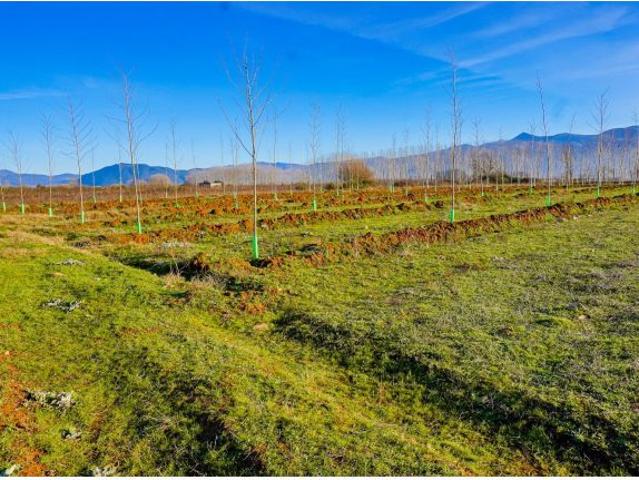 Local Comercial en venta en Comunidad de Villa y Tierra de Pedraza, Aldealengua De Pedraza