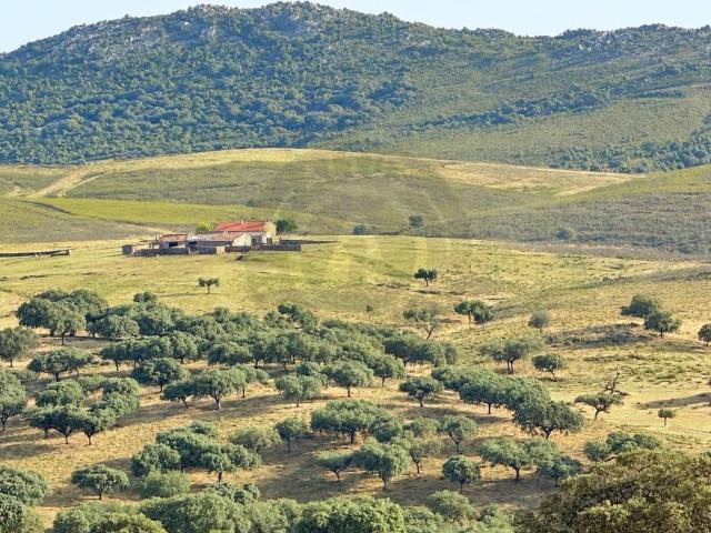 Terreno en venta en Deleitosa, Cáceres