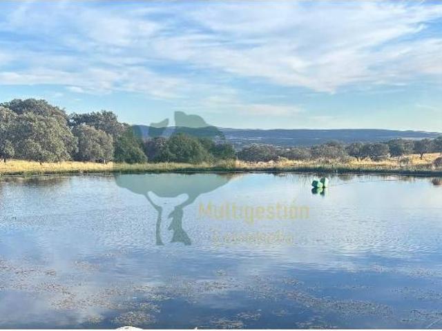 Terreno en venta en Deleitosa, Cáceres
