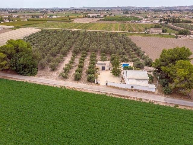 Terreno en venta en el Baix Segura / La Vega Baja, Valencia