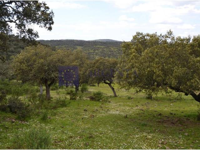Terreno en venta en Don Benito, Barrio de San Sebastián Terreno en venta en Don Benito, Barrio de San Sebastián