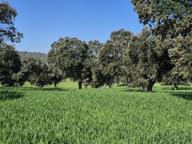 Terreno en venta en Barrio de San Sebastián, Don Benito