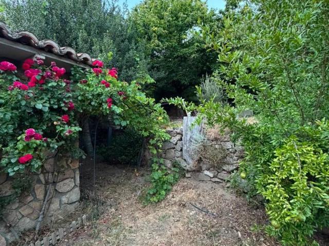 Terreno en venta en El Arenal, Castilla y León