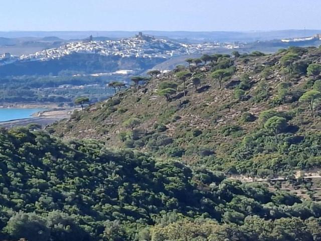 Terreno en venta en El Bosque, Cádiz