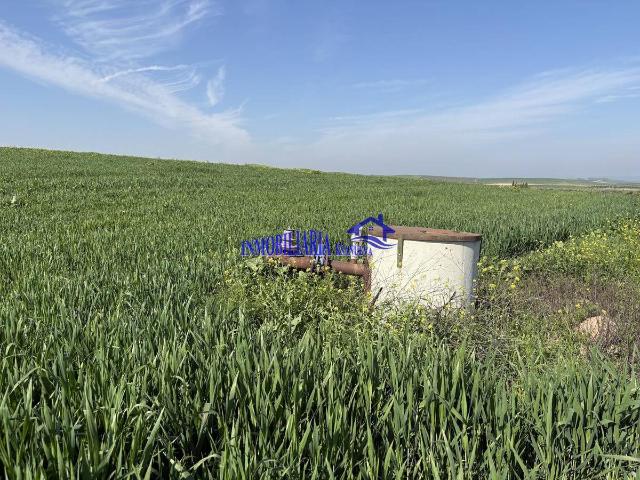 Terreno en venta en El Carpio, Andalucía