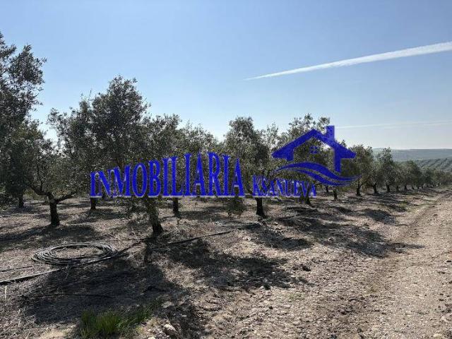Terreno en venta en El Carpio, Andalucía