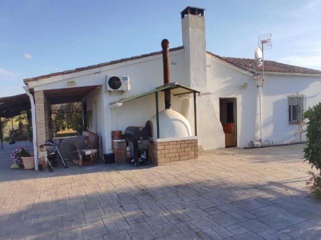 Terreno en venta en El Coronil, Andalucía