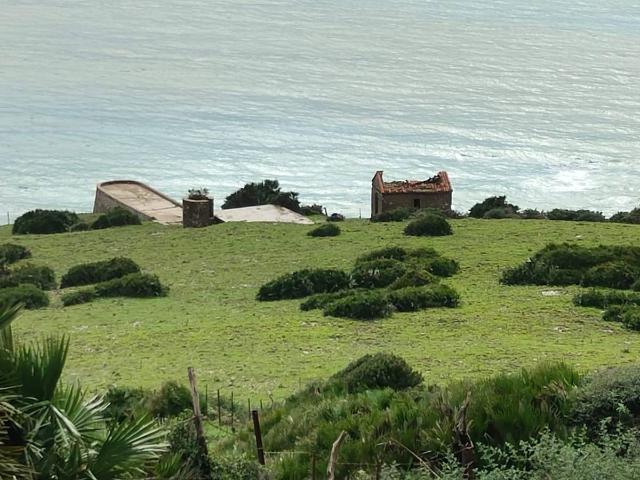 Terreno en venta en Barriada de Antonio Ordoñez, Campo de Gibraltar