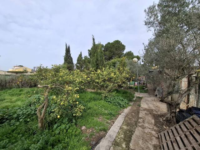 Terreno en venta en el Baix Segura / La Vega Baja, Valencia