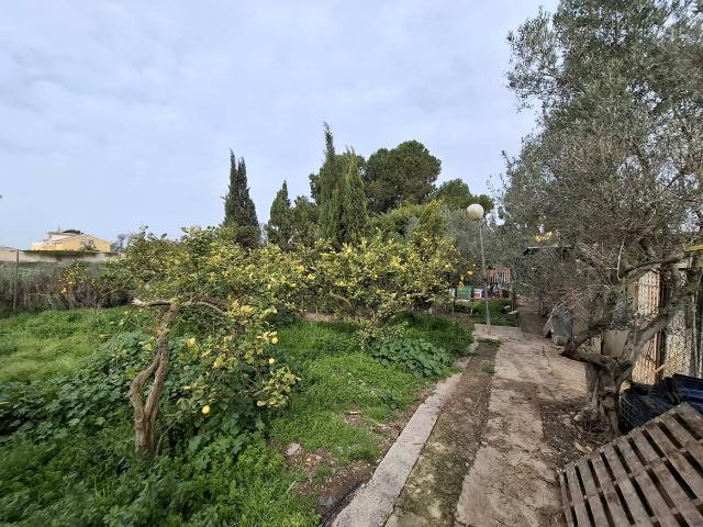 Terreno en venta en Guardamar Del Segura