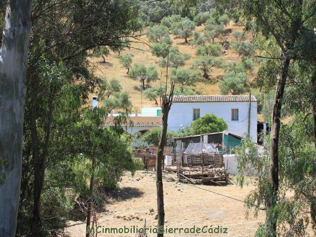 Terreno en venta en Sierra de Cádiz, Andalucía
