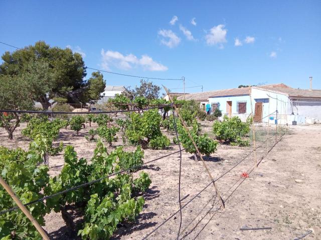 Terreno en venta en San Javier, San Javier