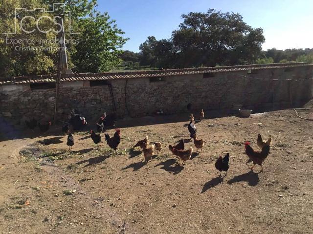 Terreno en venta en El Pedroso, Andalucía