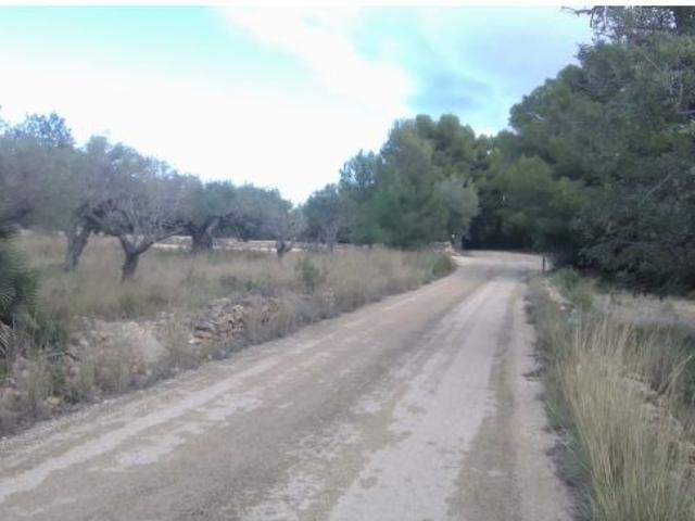 Local Comercial en venta en Baix Ebre, Catalunya