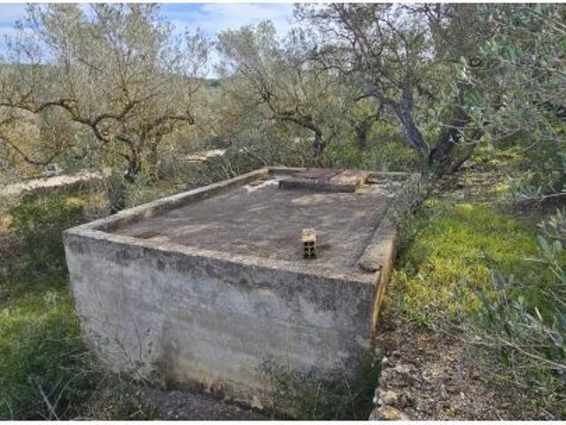 Local Comercial en venta en Baix Ebre, Catalunya