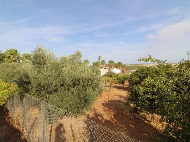 Terreno en venta en San Marcos, Campiña de Jerez