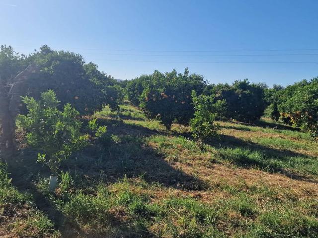 Terreno en venta en Los Tomillares, Valle del Guadalhorce