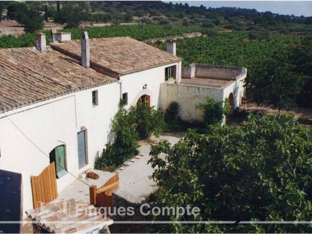 Terreno en venta en el Puig, Baix Penedès