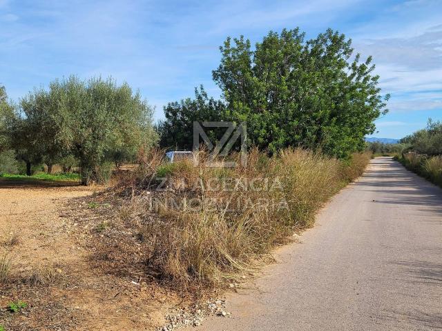 Terreno en venta en Traiguera