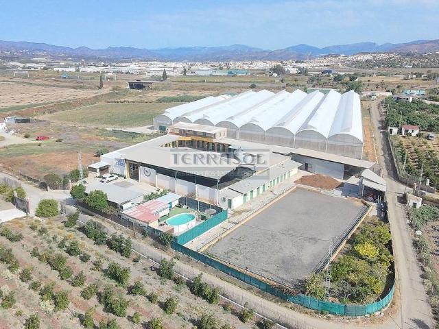 Terreno en venta en Capuchinos, La Axarquía