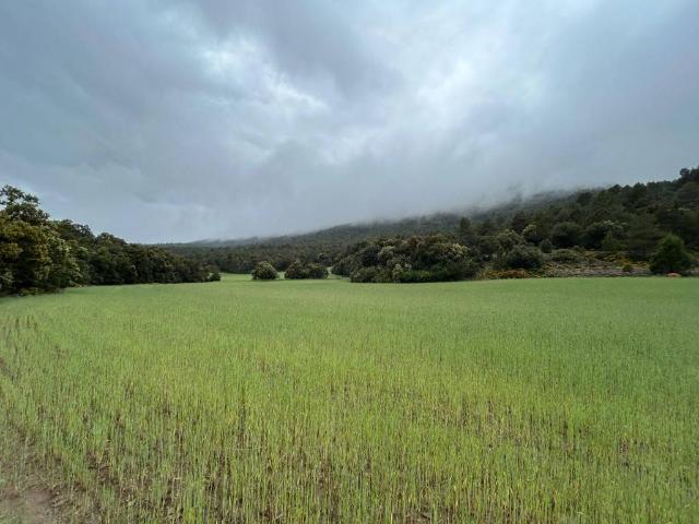 Terreno en venta en l'Alt Palància, Valencia