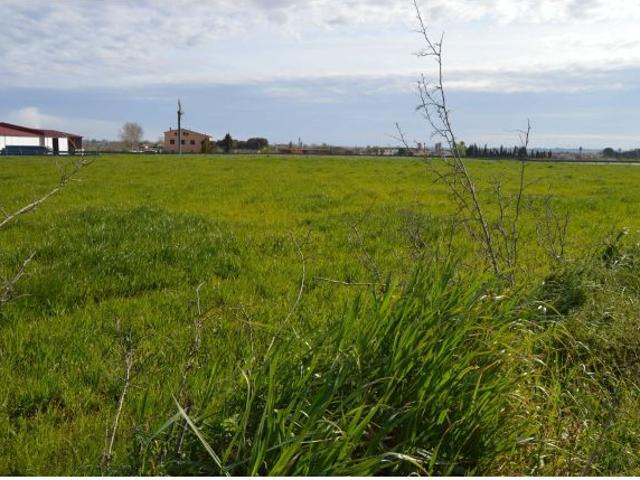 Local Comercial en venta en Alt Empordà, Catalunya