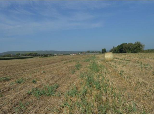Local Comercial en venta en Alt Empordà, Catalunya