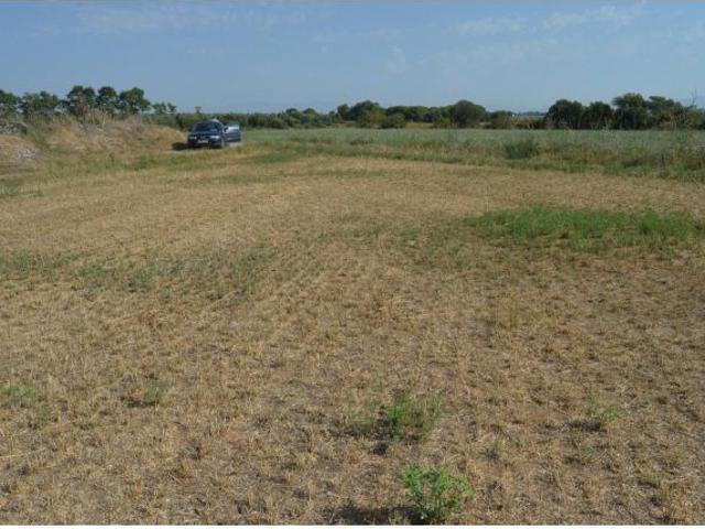 Local Comercial en venta en Alt Empordà, Catalunya