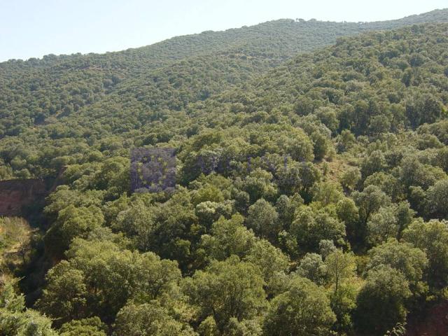 Terreno en venta en Santiago, Cáceres