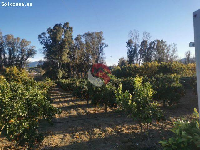 Local Comercial en venta en Estación de Cártama, Valle del Guadalhorce