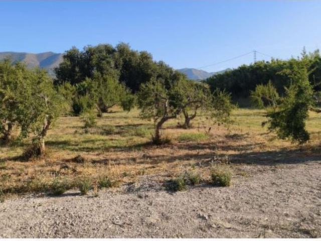 Local Comercial en venta en Estación de Cártama, Valle del Guadalhorce