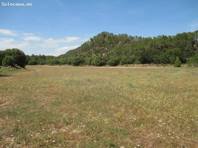 Local Comercial en venta en Gúdar-Javalambre, Aragón